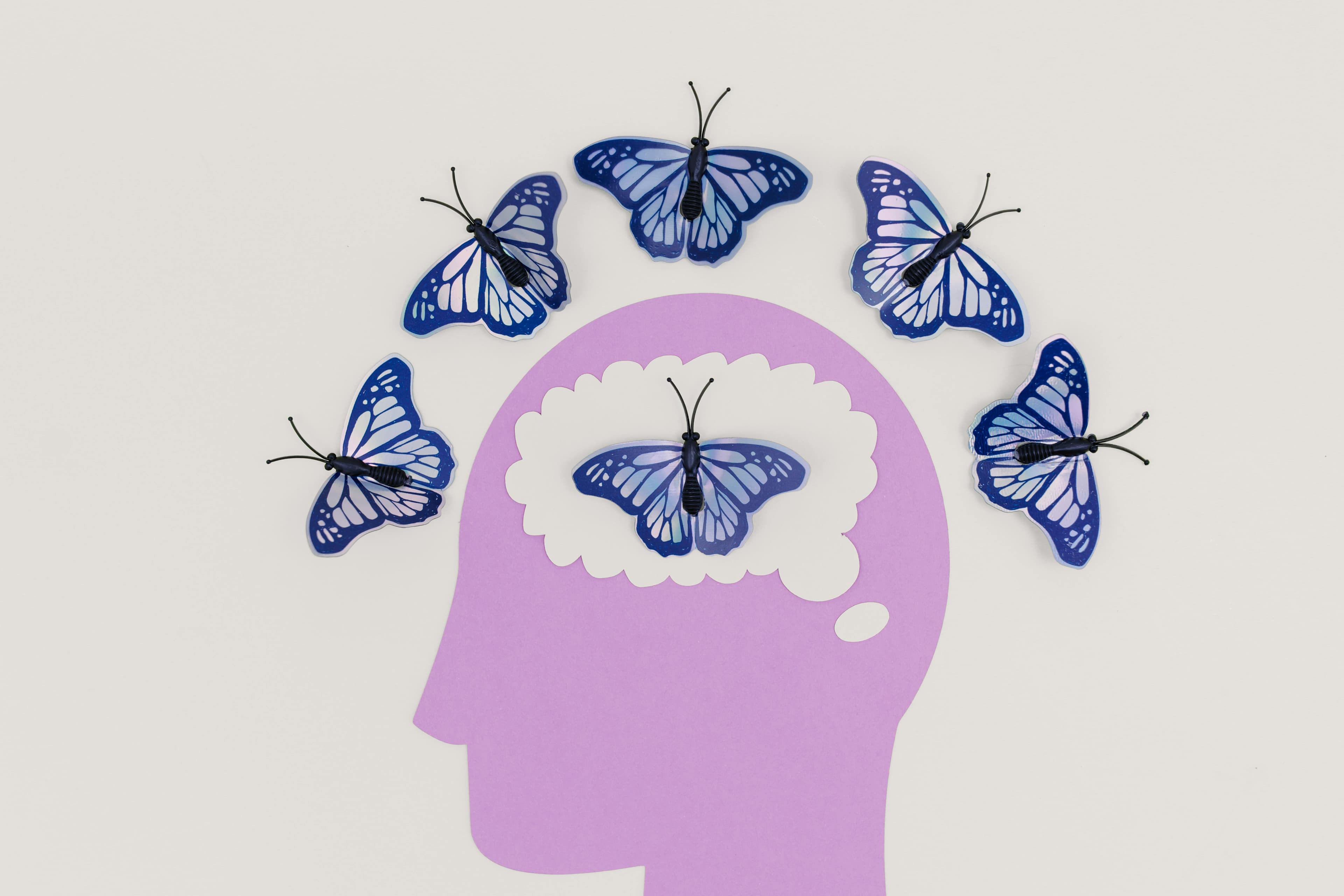 Butterfly brain transformation concept - representing the positive changes possible through hypnotherapy