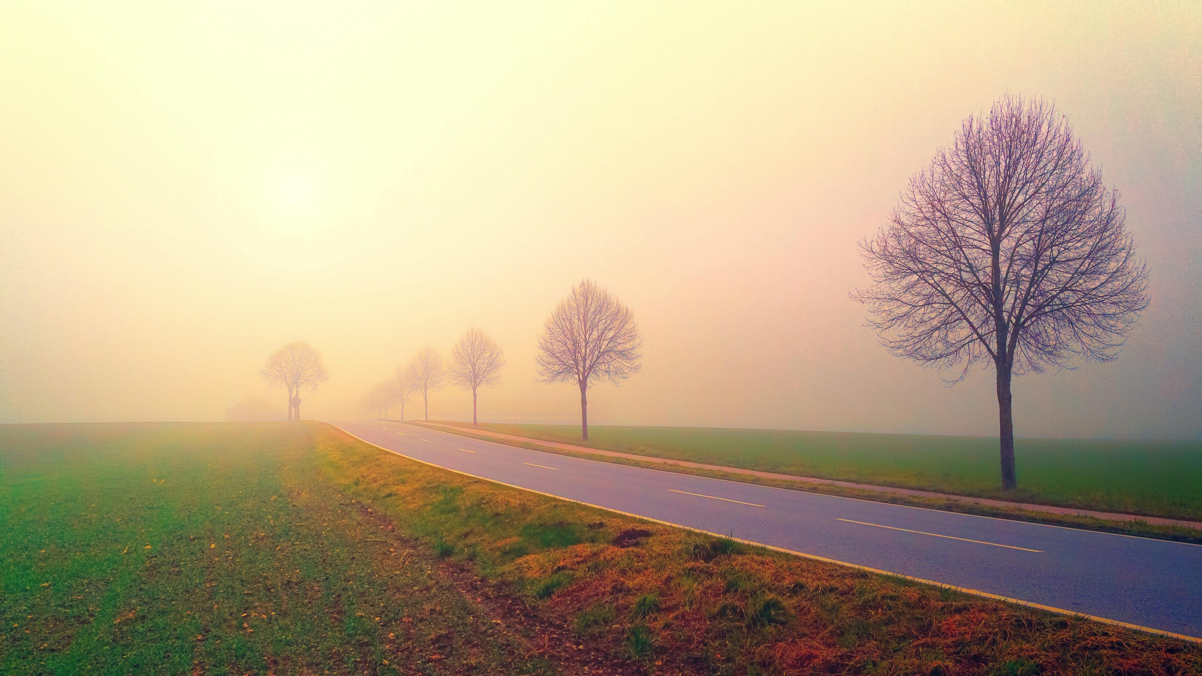 Recovery Road